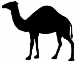 Camels Silhouette - silhouettevector.net | animals silhouette-vector ...