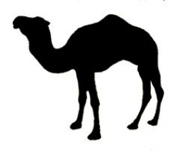 silhouette clip art of camel | WALL (DUVAR) | Pinterest | Clip art ...