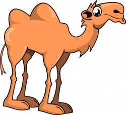Funny Camel Clipart