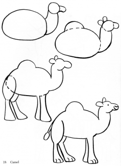 2013-12) ... a dromedary- (otherwise known as a camel) | guided ...