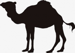 Black Camel, Sketch, Back, Animal PNG Image and Clipart for Free ...