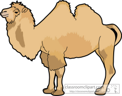 Animal Clipart - Camel Clipart - camel_630 - Classroom Clipart