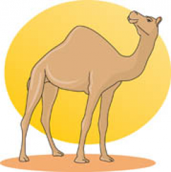 Free Camel Clipart - Clip Art Pictures - Graphics - Illustrations