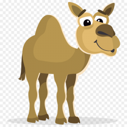 Camel Clip art - Moroccan Camel Cliparts png download - 1000*1000 ...