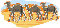 Three Camels In the Desert - Royalty Free Clipart Picture