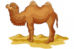 Camel Transparent PNG Pictures - Free Icons and PNG Backgrounds