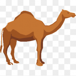 Camel Vector Png, Vectors, PSD, and Clipart for Free Download | Pngtree