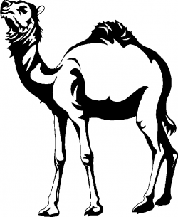 Camel black and white clip art - Camel black and white clipart photo ...