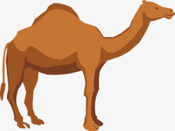 Camel Vector PNG Images | Vectors and PSD Files | Free Download on ...