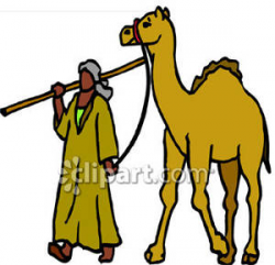Man Walking Beside A Camel - Royalty Free Clipart Picture