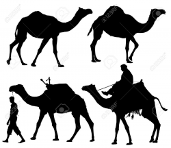 Camel Silhouette On White Background Royalty Free Cliparts, Vectors ...