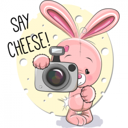 Say Cheese | Cheese, Rabbit and Messages