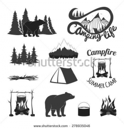 Vector vintage set of icons, emblems, logos and labels. Bears ...