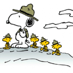 230 best BEAGLESCOUT SNOOPY images on Pinterest | Peanuts snoopy ...