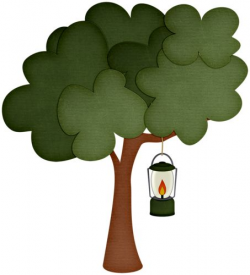 130 best Tree images on Pinterest | Tree illustration, Plants and ...