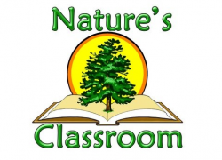 Nature's Classroom - Camp - Offering unique outdoor experiences ...