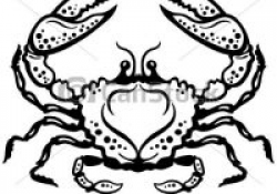 crab clipart black and white crab black white crab or cancer ...