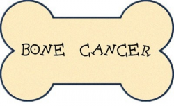 Bone cancer survival rates - bone cancer