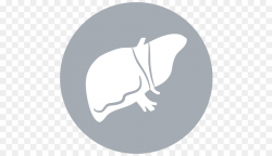 Liver cancer Organ transplantation Liver transplantation - kidney ...