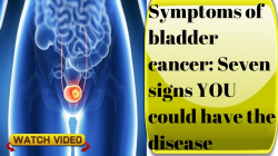 Symptoms of bladder cancer :Seven signs YOU could have the disease ...