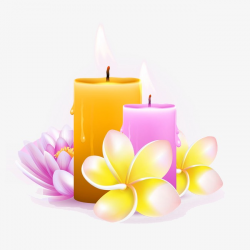 Flowers And Candles, Candle, Flowers Clipart, Candles Clipart PNG ...