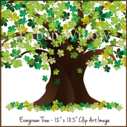 Evergreen Clipart Tree, Tree Graphic, Green Tree, Oak Tree Graphic ...