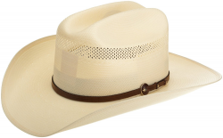Cowboy Hat Clipart stylish man - Free Clipart on Dumielauxepices.net