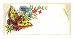Antique Images: Free Printable Label: Yellow Butterfly and Wild ...