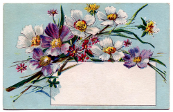 Vintage Clip Art - Pretty Floral Label - Tag - The Graphics Fairy