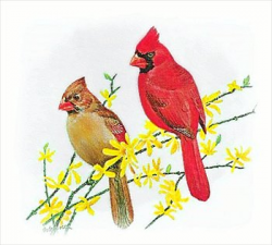 Free Cardinal Clipart - Free Clipart Graphics, Images and Photos ...