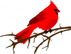 Clip art illustration of a red Cardinal bird sitting on a branch ...
