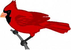 Red cardinal clipart kid 2 - Clipartix