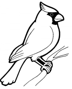 cardinal clipart black and white - Google Search | stump slabs ...