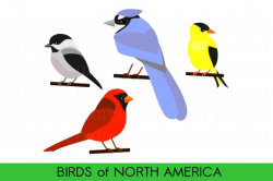 Cute Bird Clipart Birds of North America Cardinal Clipart
