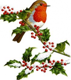 Clip Art Christmas Border With Cardinal Bird And Holly INSTANT ...