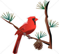 Red Cardinal on Branch | Wildlife Clipart