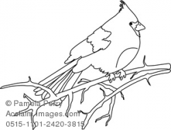 Clip Art Illustration of a Cardinal Sitting on a Branch Coloring Page