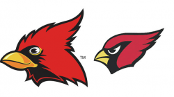 District 206 to stick with traditional Cardinal logo | Echo Press