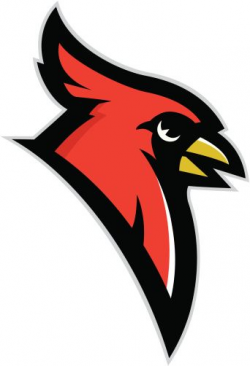 Cardinal head mascot vector art illustration | Cardinals Logos ...