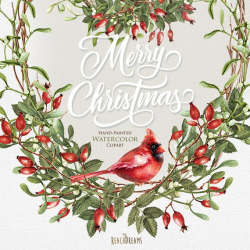 Watercolor Christmas Clipart Mistletoe Briar Red Cardinal