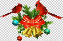 Christmas Decoration Jingle Bell PNG, Clipart, Beak, Bell ...