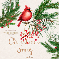 Christmas Birds Red Cardinals. Watercolor Bouquets and Wreaths ...