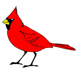 Cardinal,bird,art,clipart,drawing - free photo from needpix.com