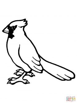 Nothern Cardinal Bird coloring page | Free Printable Coloring Pages