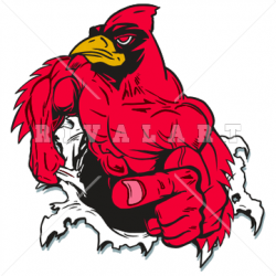Mascot Clipart Image of A Muscular Cardinal Tearing Thru A Hole ...