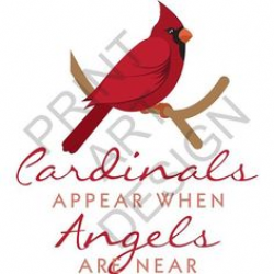 Christmas Cardinal On Branch Clipart - Digital Vector Cardinal, Bird ...