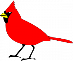 Free Clip art vector design of Cardinal Bird SVG has been ...