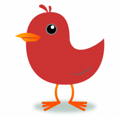 Cardinal clipart red robin - Pencil and in color cardinal clipart ...