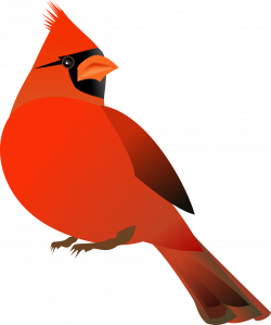 Clipart - Red Cardinal