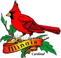 Gold Illinois Banner with State Bird, the Red Northern Cardinal ...